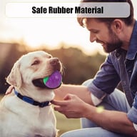 Man and dog interacting with purple and green squeaky dog ball