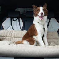 Rear-Seat Pet Bed for Cars | Dog Leash-Ready Safety Harness Clips — view 1