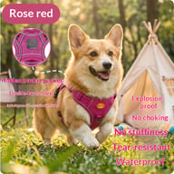 Harness-Style Reflective Dog Leash with Anti-Pull Feature | Captain Fam — view 6