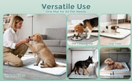 Silicone Pet Urine Pad Training Aid for Dogs | Reusable — view 10
