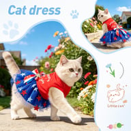 Cat in patriotic Independence Day dress with sparkly star details