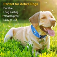 Reflective Dog Leash Collar with AirTag Holder | Anti-Lost Pet Safety — view 8