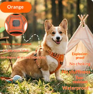 Harness-Style Reflective Dog Leash with Anti-Pull Feature | Captain Fam — view 1