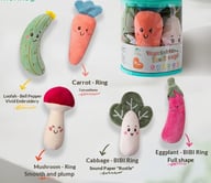 Complete cartoon fruit vegetable baby rattle set with labeled sensory features