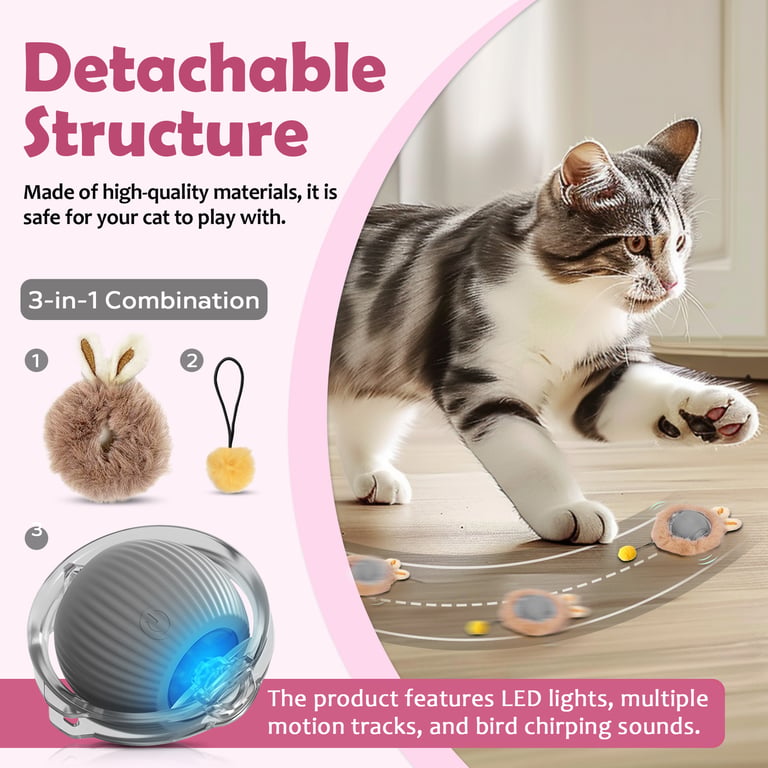 Durable interactive cat toy with USB charger and power button