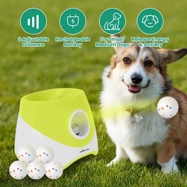 Automatic Dog Ball Launcher Rechargeable | 3 Distance Settings