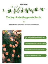 Climbing Plant Planter Box with Trellis | Vertical Garden Balcony — view 12