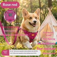 Harness-Style Reflective Dog Leash with Anti-Pull Feature | Captain Fam — view 9