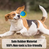 Scooby-Doo Squeaky Dog Balls Set of 8 | Teeth Cleaning Interactive Toys — view 16