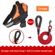 Vest-Style Dog Harness with Rope Leash | Padded Comfort Set — view 7