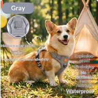 Harness-Style Reflective Dog Leash with Anti-Pull Feature | Captain Fam — view 7