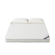 Thickened Latex Mattress Dormitory Soft Pad | Comfort Topper — view 3