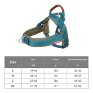 Adjustable no-pull dog harness with top handle and dual attachment points