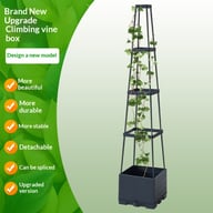 Upgraded climbing vine planter box with adjustable trellis and integrated planter base