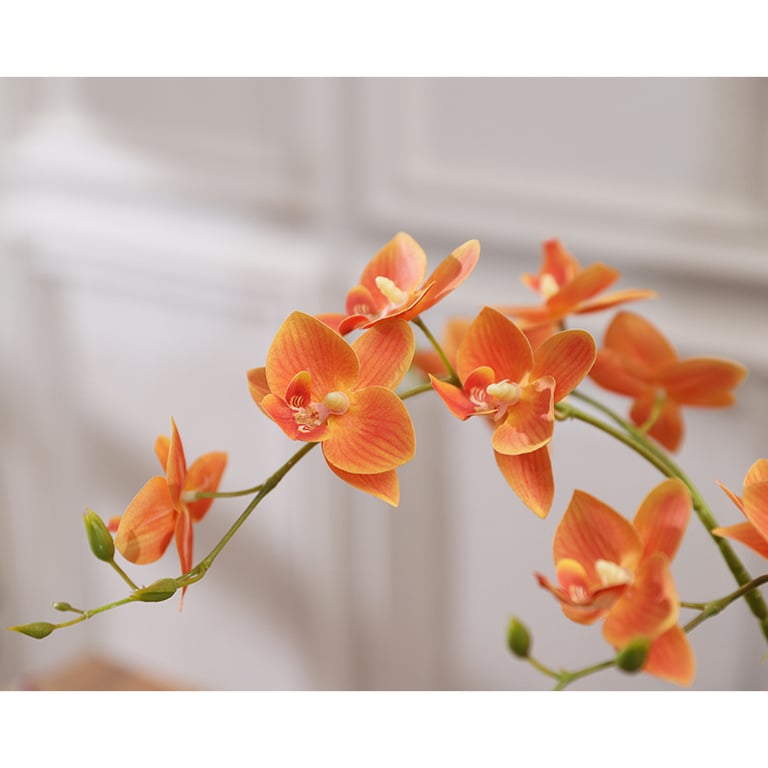 Wrapped dove orchid artificial flower arrangement ready for gift-giving occasion