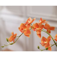 Silicone-Feel Dove Orchid Artificial Flower Arrangement Set - Modern Minimalist Silk Floral Decor for Living Room Home Display — view 3
