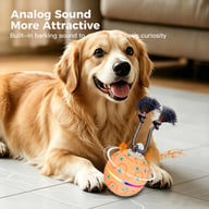 Smart ETPU Pet Toy Ball with Sound, Light & Dog Leash | Interactive — view 5