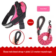 Vest-Style Dog Harness with Rope Leash | Padded Comfort Set — view 5