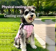 Physical Cooling Phase Change Ice Pad For Dogs | Captain Fam — view 12