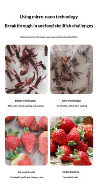 Negative-Ion Multifunctional Fruit And Vegetable Sterilizer — view 10