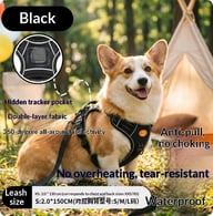 Harness-Style Reflective Dog Leash with Anti-Pull Feature | Captain Fam — view 8