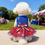 Patriotic Dog Tulle Dress | 4th of July Pet Outfit with Sparkly Stars — view 8