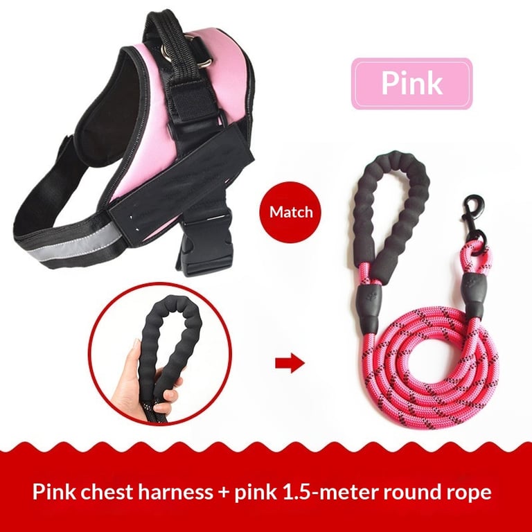 Black vest harness with reflective strip glowing in low light