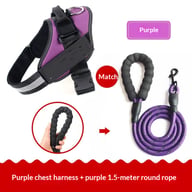 Vest-Style Dog Harness with Rope Leash | Padded Comfort Set — view 6
