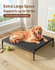 Golden retriever relaxing on elevated foldable waterproof pet bed indoors