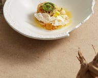 High-end White Aesthetic Dish Presentation Plate — view 10