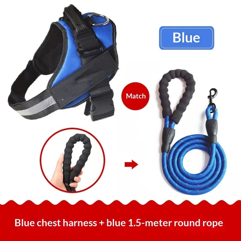 Blue and pink vest harnesses displayed side by side outdoors
