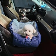 Simple-Style Car Dog Bed Pet Car Seat | Safe Travel Booster — view 1