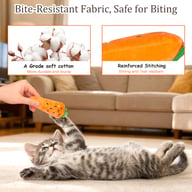 Catnip Cat Toys 5-Pack | Plush Vegetable Kicker Toys for Indoor Cats — view 5
