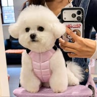 Physical Cooling Phase Change Ice Pad For Dogs | Captain Fam — view 7