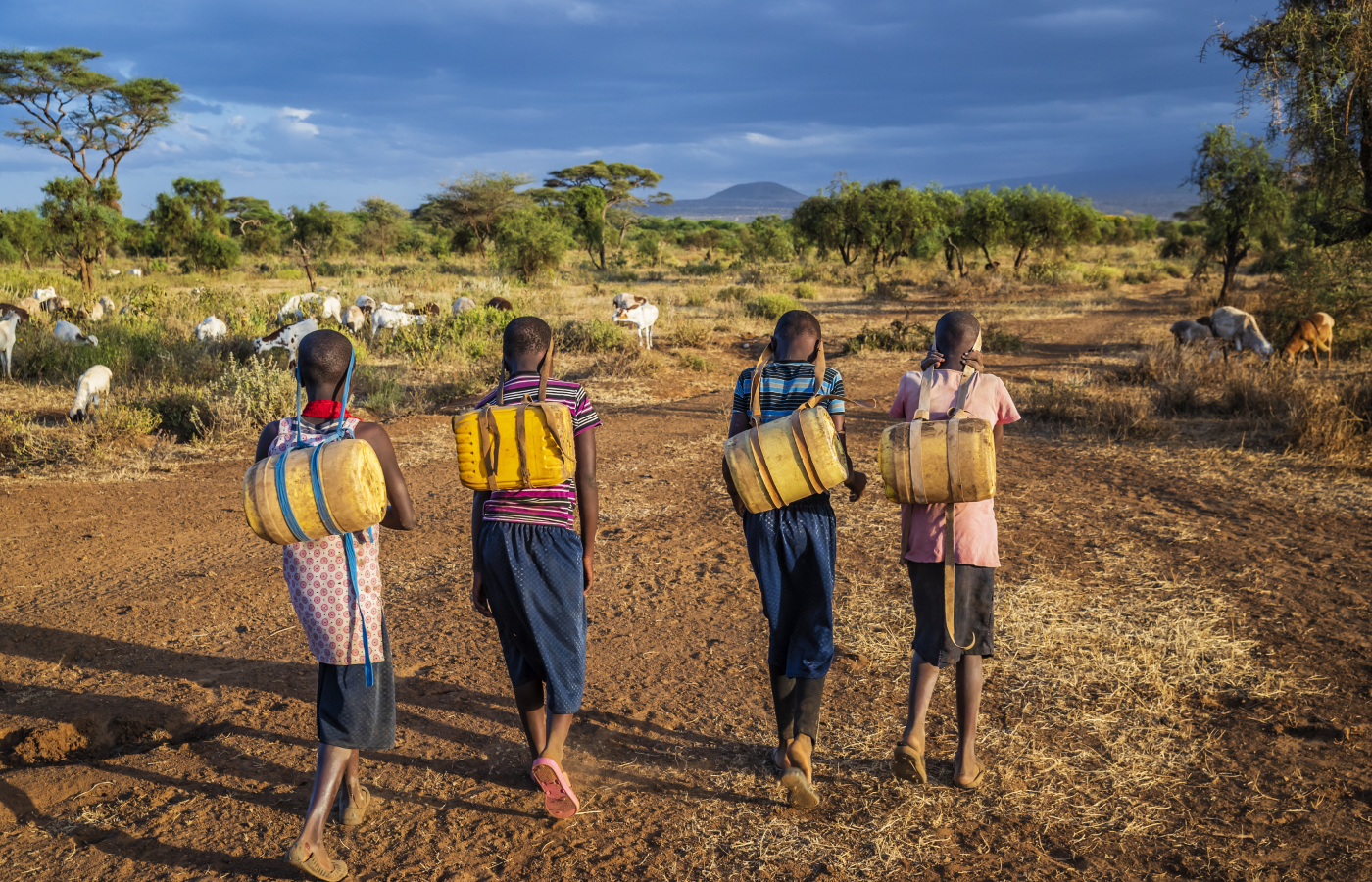 Best practices for generating demand for health services and vaccination in developing economies