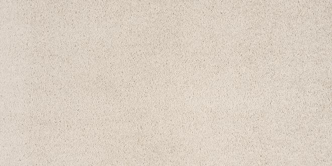 Bonneville Plus variant 5