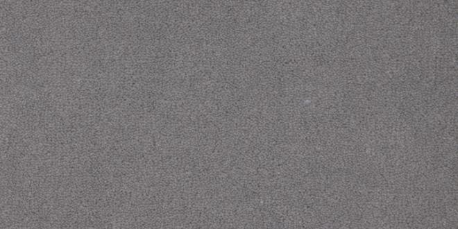 Metropolis variant 2