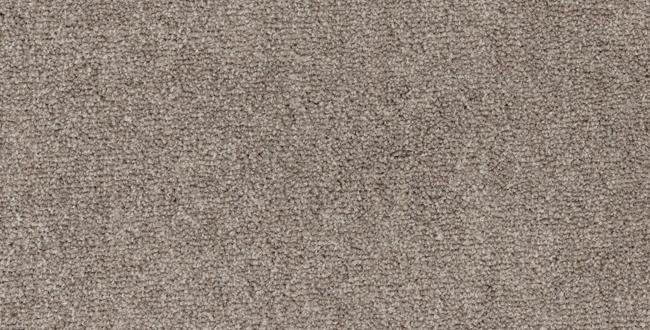 Twisted Sister 2 variant 3