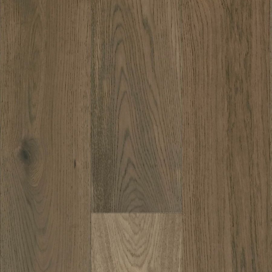 Quercus variant 3