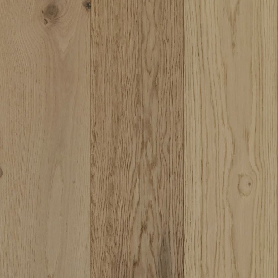 Quercus variant 2