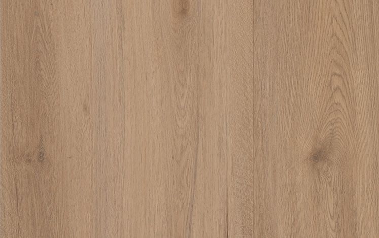 Empress Hybrid variant 4