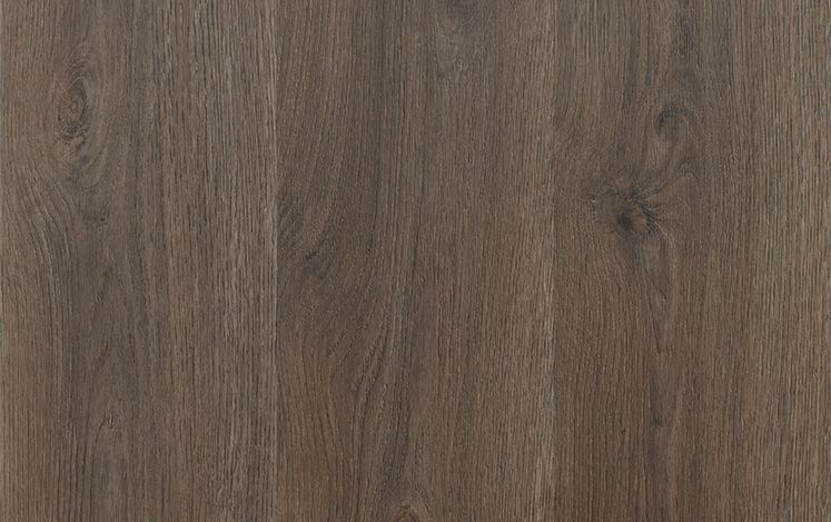 Kodiak Lite variant 3