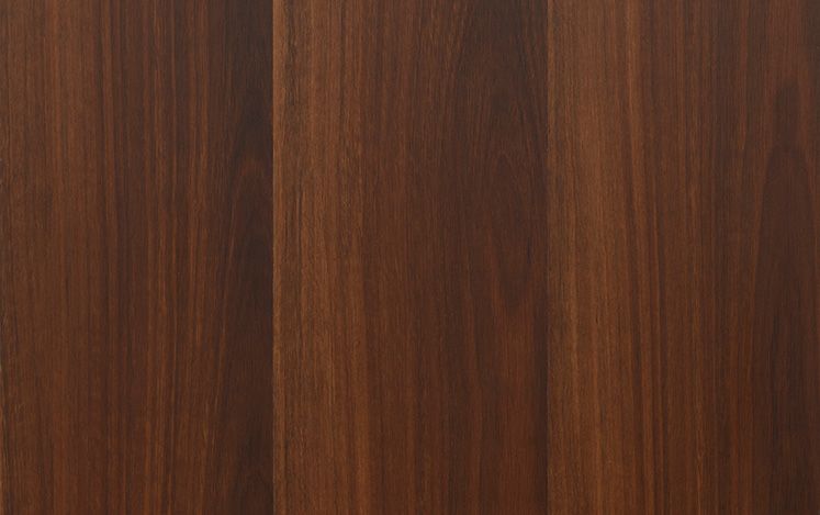 Kodiak Lite variant 4