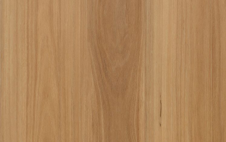 Kodiak Lite variant 5