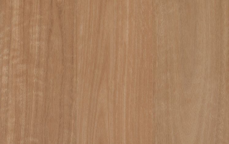 Nouvelle Acoustic Australian variant 2