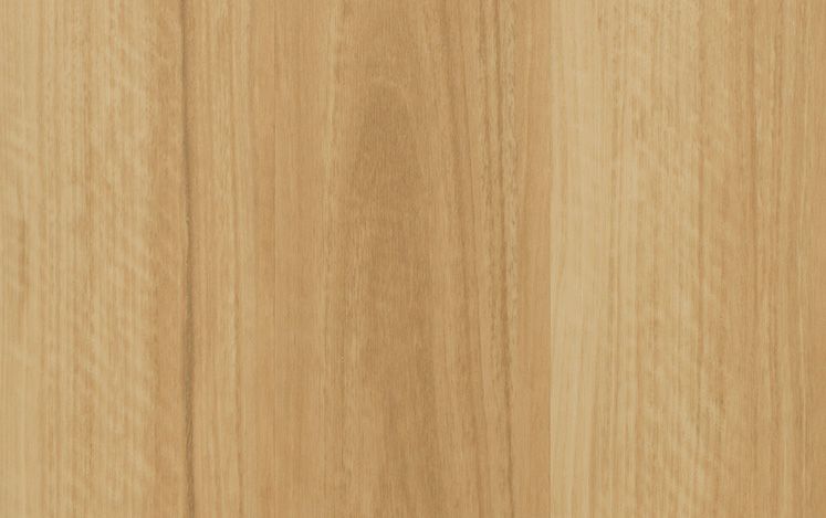 East Coast Blackbutt