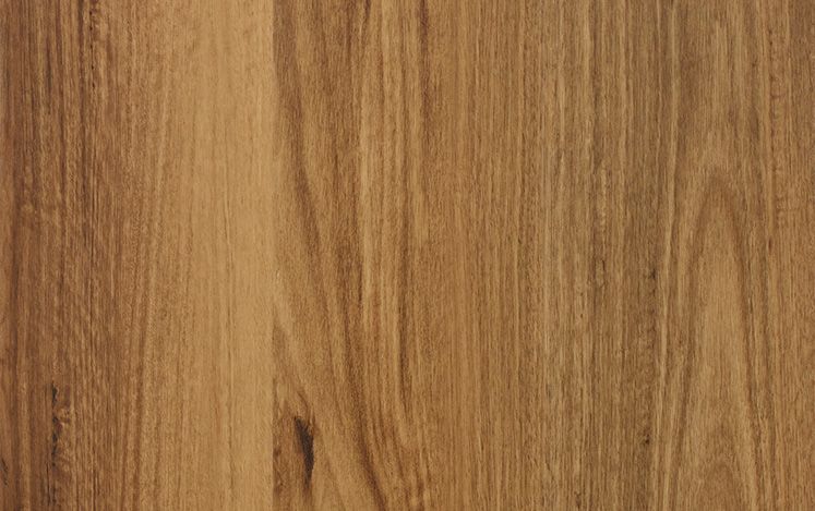 Feathertop Spotted Gum
