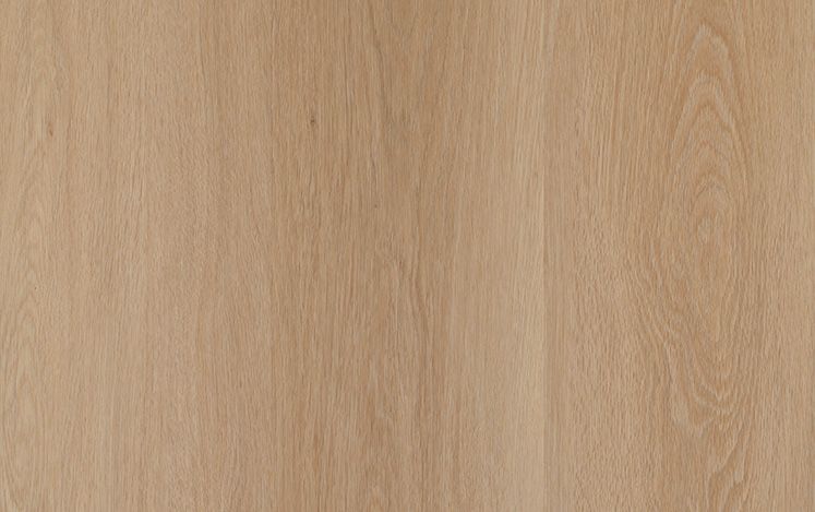 Nouvelle Acoustic European variant 2