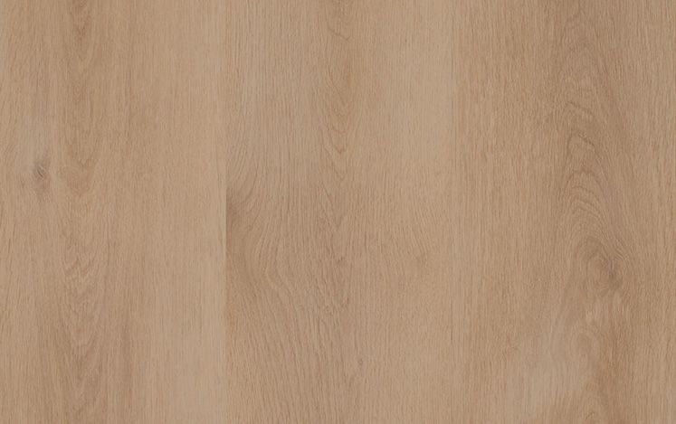 Nouvelle Acoustic European variant 3