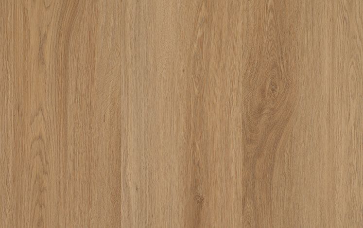 Nouvelle Acoustic European variant 4